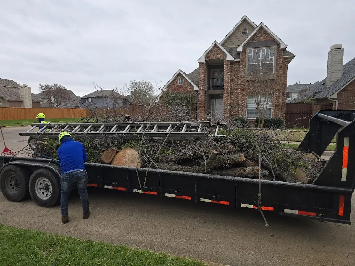 Expert Tree Fertilization with proper safety equipment in Galena